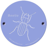 Rainbow Rubbing 'Beetle'