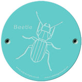 Rainbow Rubbing 'Beetle'