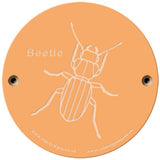 Rainbow Rubbing 'Beetle'