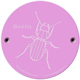 Rainbow Rubbing 'Beetle'