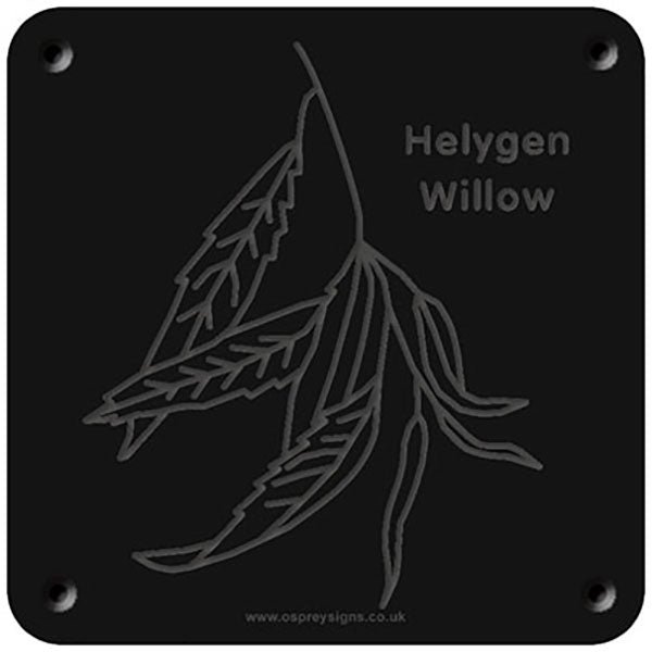 Welsh 'Willow' rubbing plaque