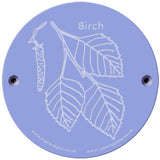 Rainbow Rubbing 'Birch'