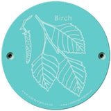 Rainbow Rubbing 'Birch'