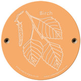 Rainbow Rubbing 'Birch'