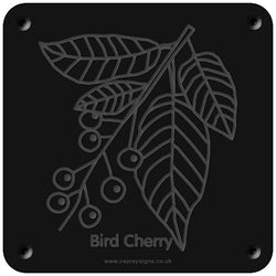 'Bird Cherry' rubbing plaque