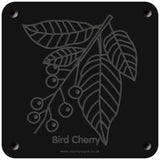 'Bird Cherry' rubbing plaque