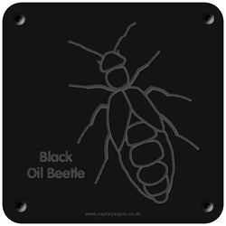 'Black oil beetle' rubbing plaque