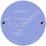 Rainbow Rubbing 'Blackbird'
