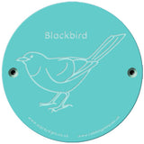 Rainbow Rubbing 'Blackbird'