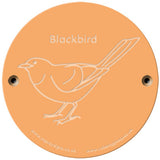 Rainbow Rubbing 'Blackbird'