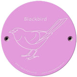 Rainbow Rubbing 'Blackbird'
