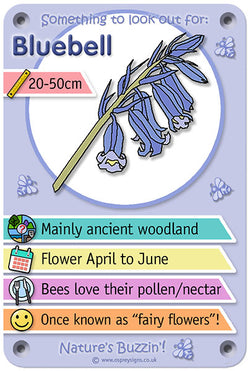 Nature's Buzzin' 'Bluebell'