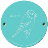Rainbow Rubbing 'Bluetit'