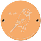Rainbow Rubbing 'Bluetit'