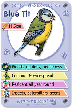Nature's Buzzin' 'Bluetit'