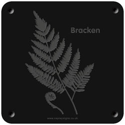 'Bracken' rubbing plaque