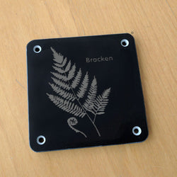 'Bracken' rubbing plaque