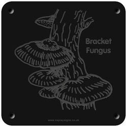 'Bracket fungus' rubbing plaque