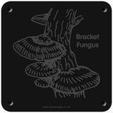 'Bracket fungus' rubbing plaque