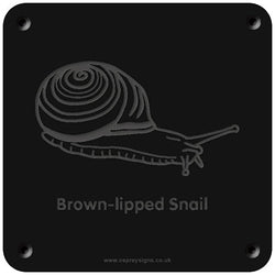 'Brown-lipped Snail' rubbing plaque