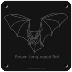 'Brown long-eared bat' rubbing plaque