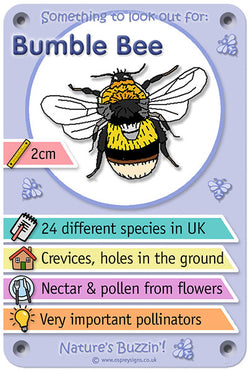Nature's Buzzin' 'Bumble Bee'
