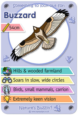 Nature's Buzzin' 'Buzzard'