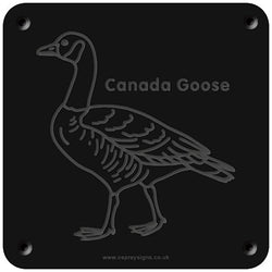 'Canada goose' rubbing plaque
