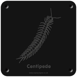 'Centipede' rubbing plaque