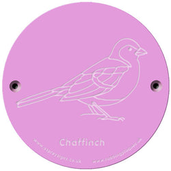 Rainbow Rubbing 'Chaffinch'