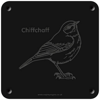 'Chiffchaff' rubbing plaque