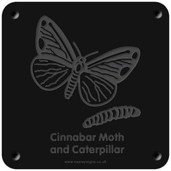 'Cinnabar moth' rubbing plaque