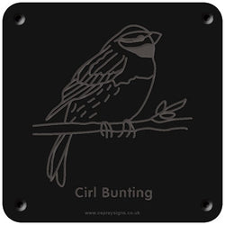 'Cirl bunting' rubbing plaque
