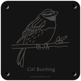 'Cirl bunting' rubbing plaque