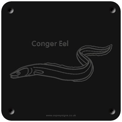 'Conger eel' rubbing plaque