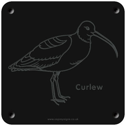 'Curlew' rubbing plaque