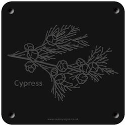 'Cypress' rubbing plaque