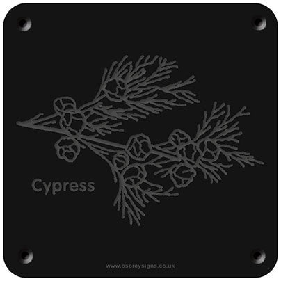 'Cypress' rubbing plaque