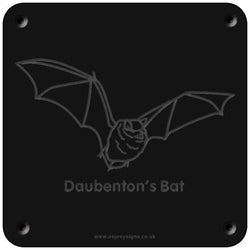'Daubenton's bat' rubbing plaque