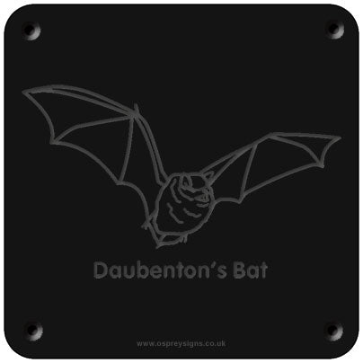 'Daubenton's bat' rubbing plaque