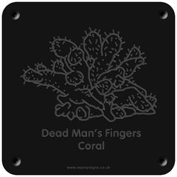 'Dead man's fingers coral' rubbing plaque