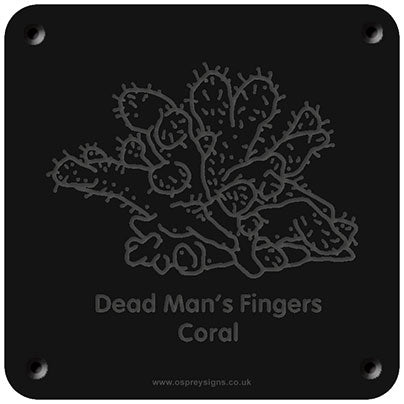 'Dead man's fingers coral' rubbing plaque