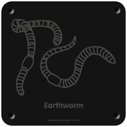 'Earthworm' rubbing plaque