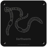 'Earthworm' rubbing plaque