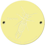 Rainbow Rubbing 'Earwig'