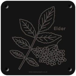 'Elder' rubbing plaque