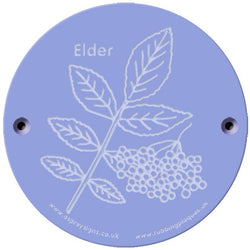 Rainbow Rubbing 'Elder'