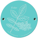 Rainbow Rubbing 'Elder'