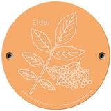 Rainbow Rubbing 'Elder'