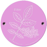 Rainbow Rubbing 'Elder'